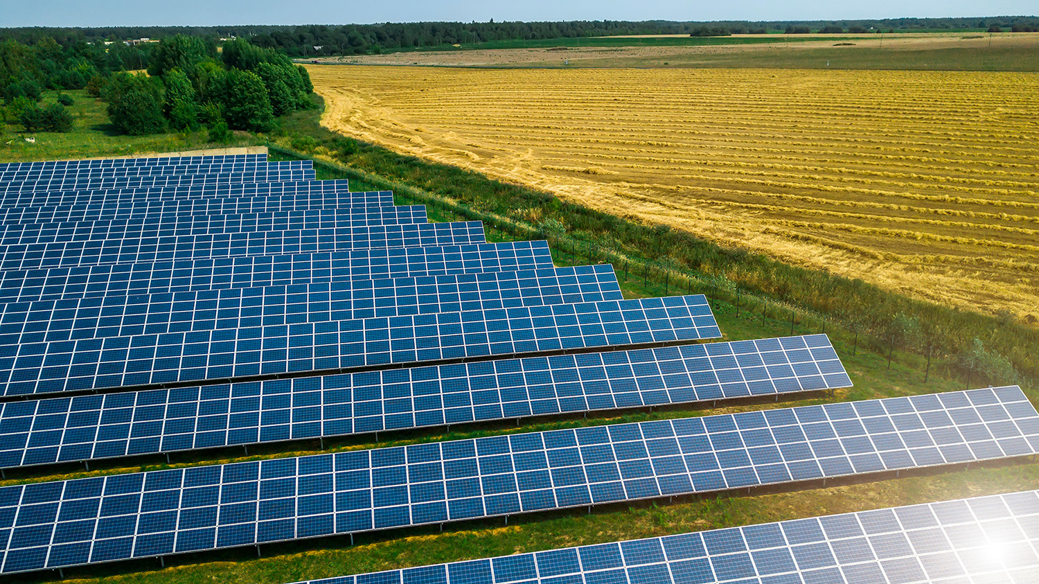 Mineral Clearing for a Utility-Scale Solar Project in Kentucky